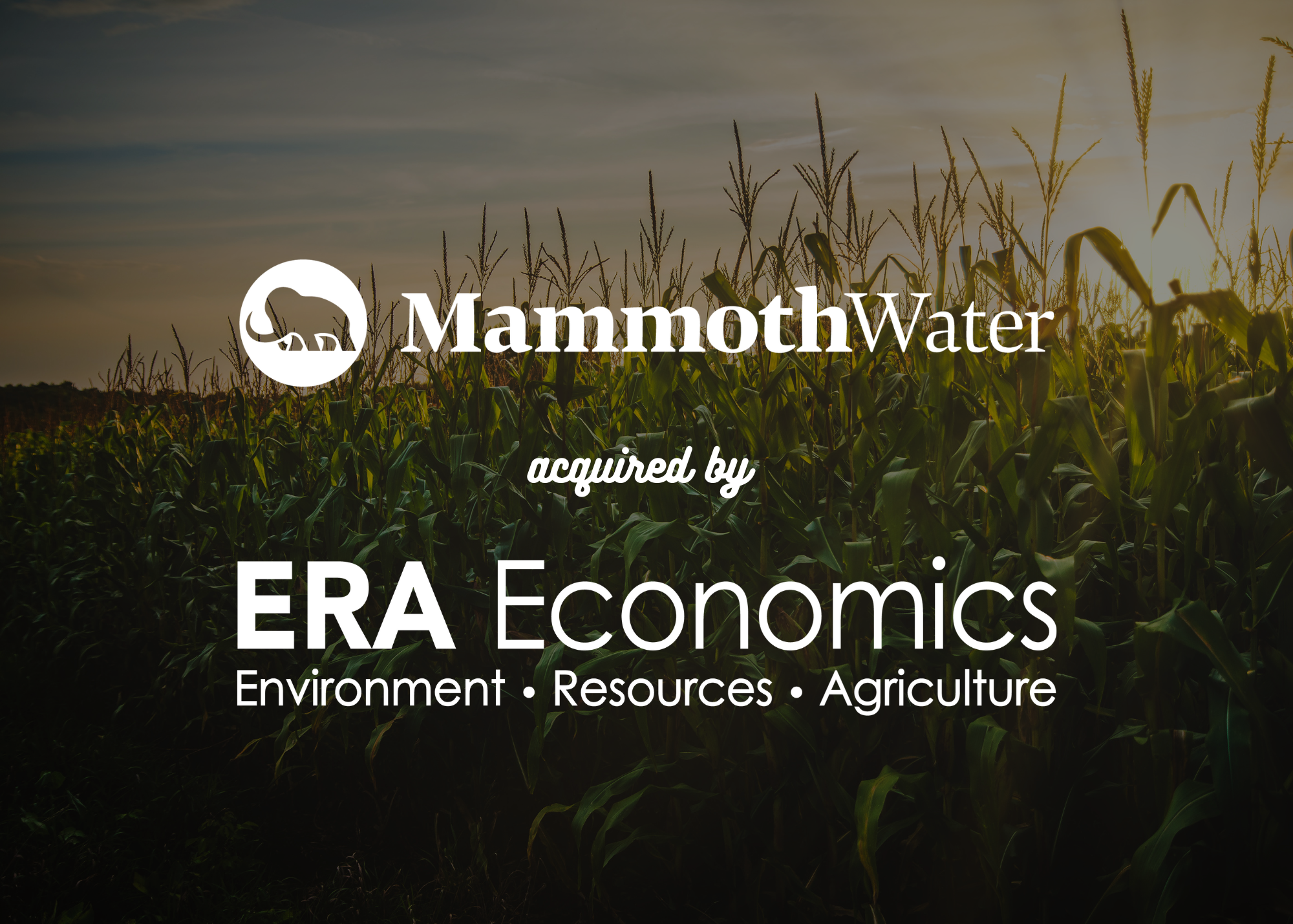 Mammoth Water acquired by ERA Economics
